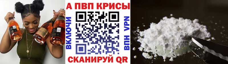 Alfa_PVP СК Котово