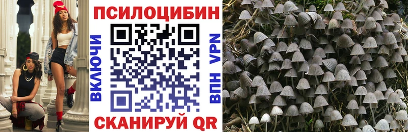 Псилоцибиновые грибы GOLDEN TEACHER  где можно купить наркотик  Котово 