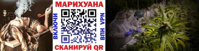 Шишки марихуана THC 21%  купить наркотик  Котово 